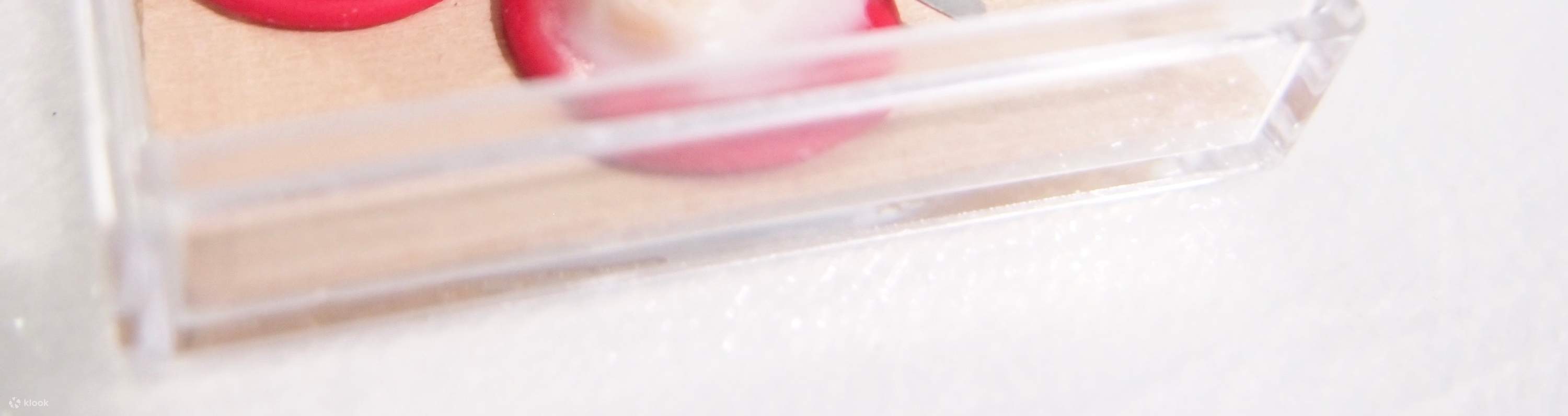 新加坡美食主题迷你食物工作坊