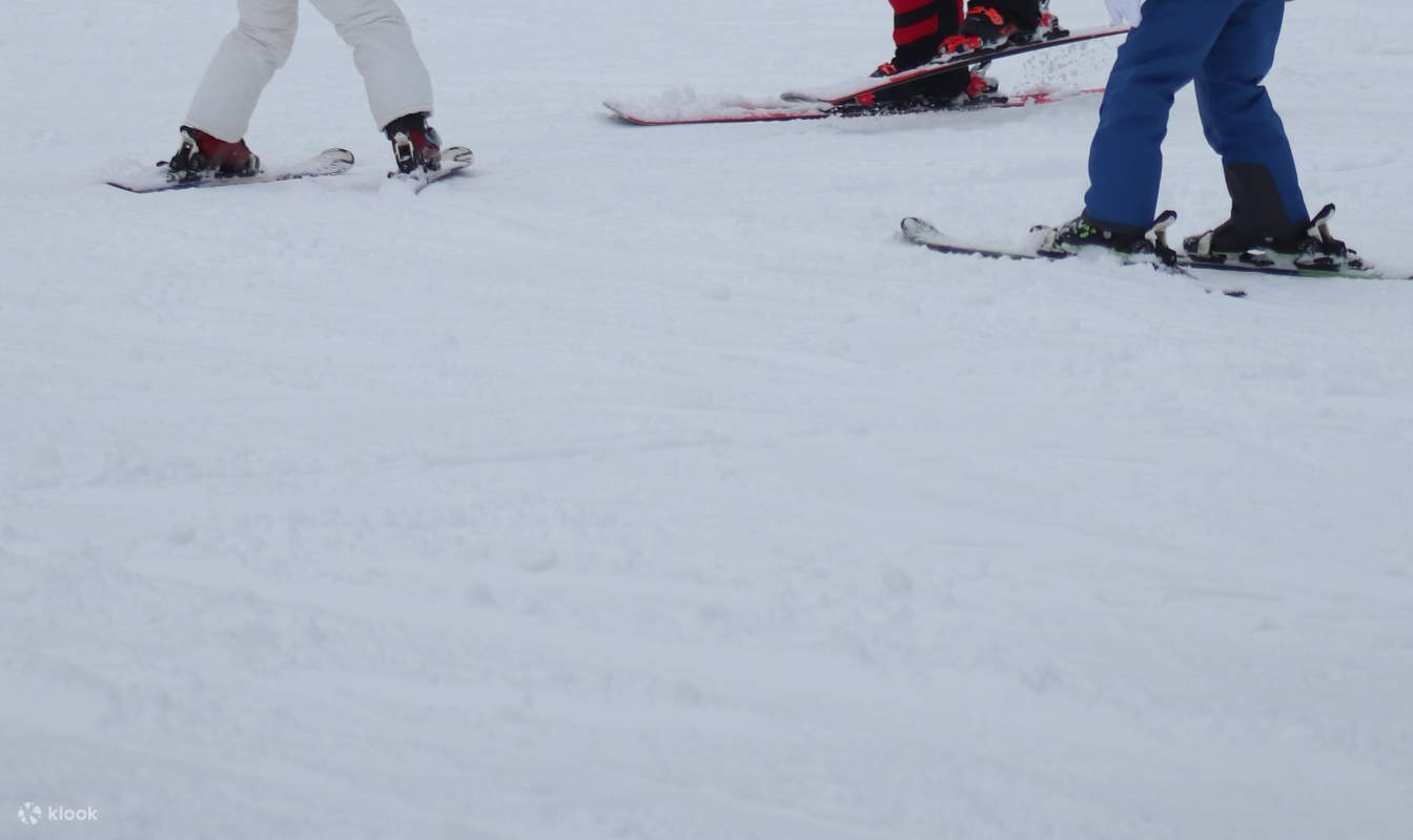 웰리힐리파크 프라이빗 스키 강습 패키지