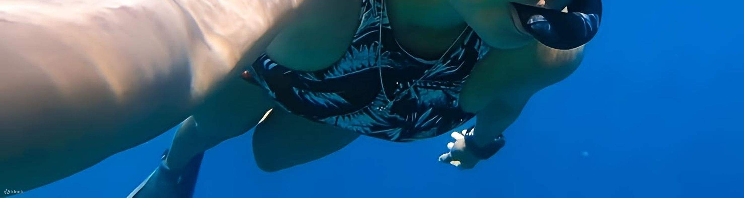 Siquijor: Pengembaraan Selam Bebas dengan Makan Tengah Hari dan Masa di Pantai