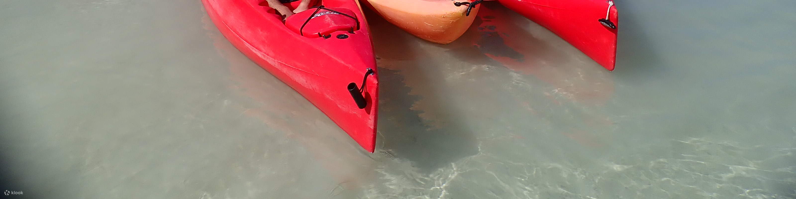 카약 거북이 스노클링