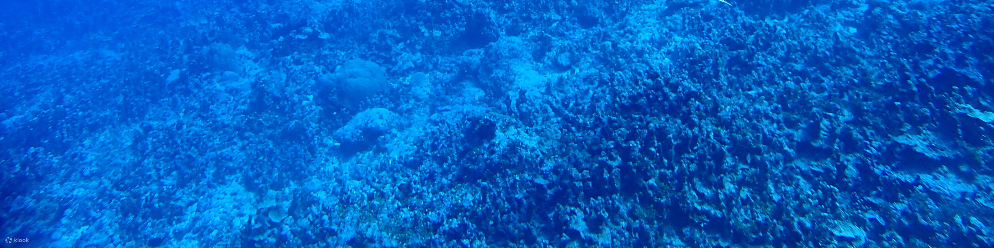 웨스틴 리조트 괌에서 즐기는 카약 & 다이빙