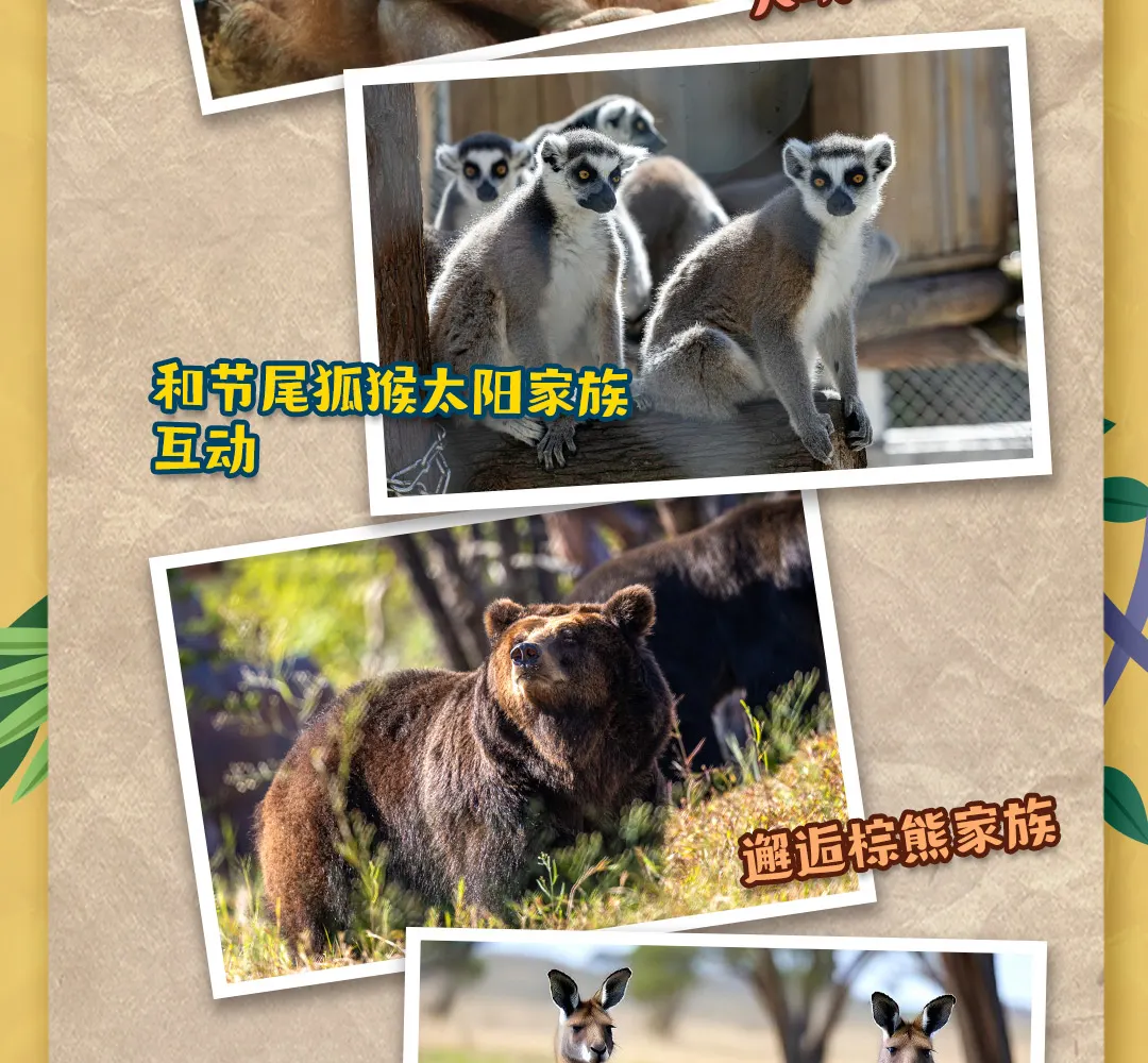 长隆