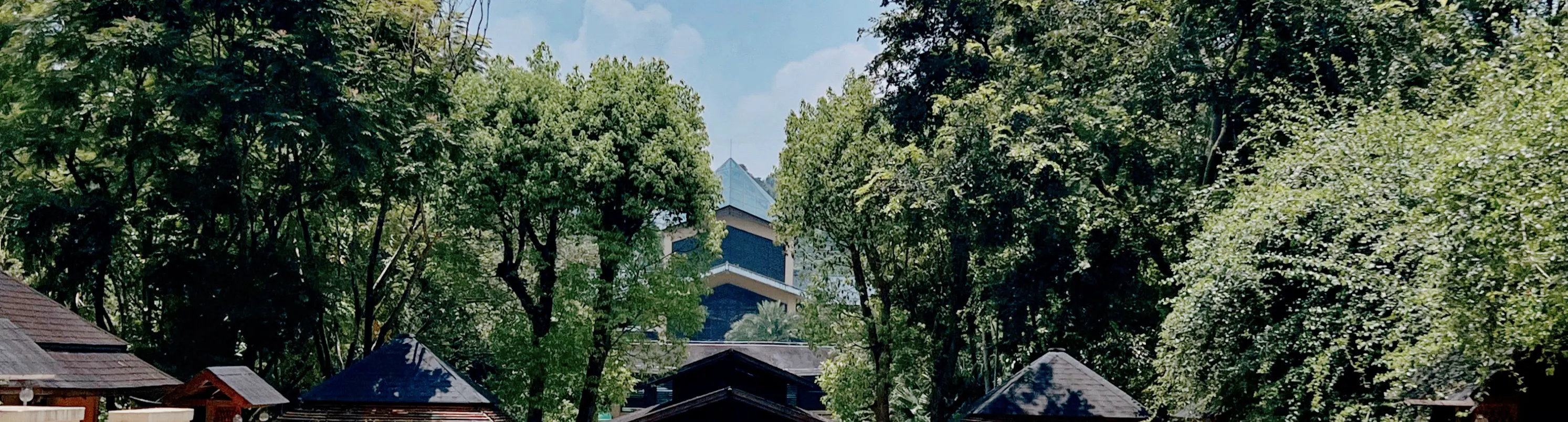 地派