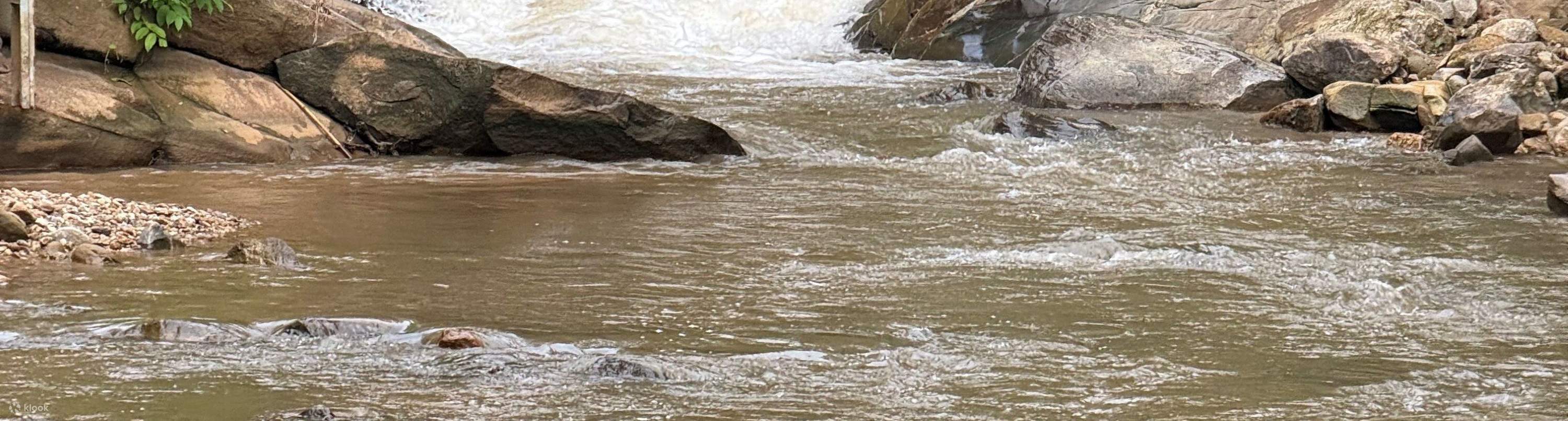 半日／全日農場生活體驗：從產地到餐桌