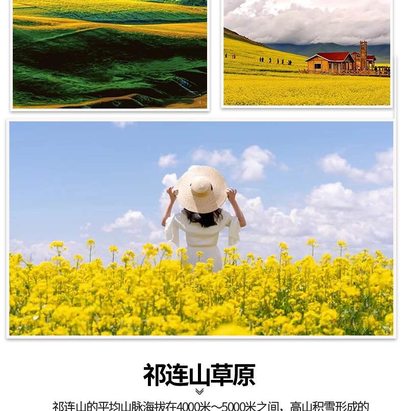 Qinggan Small Loop Tianjing Qilian 4 วัน (ขี่ม้าในทุ่งหญ้า/ยิงธนู ...