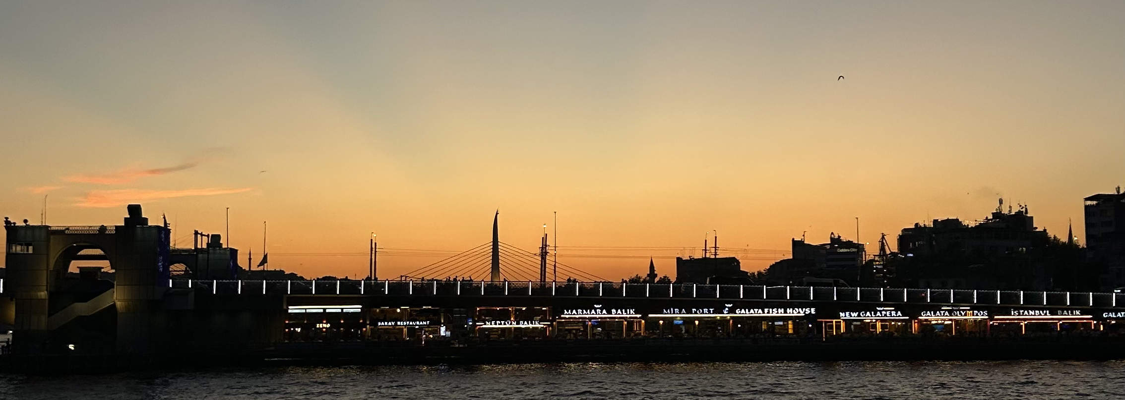 イスタンブール絶景サンセットクルーズ：アジア側探検付き3時間