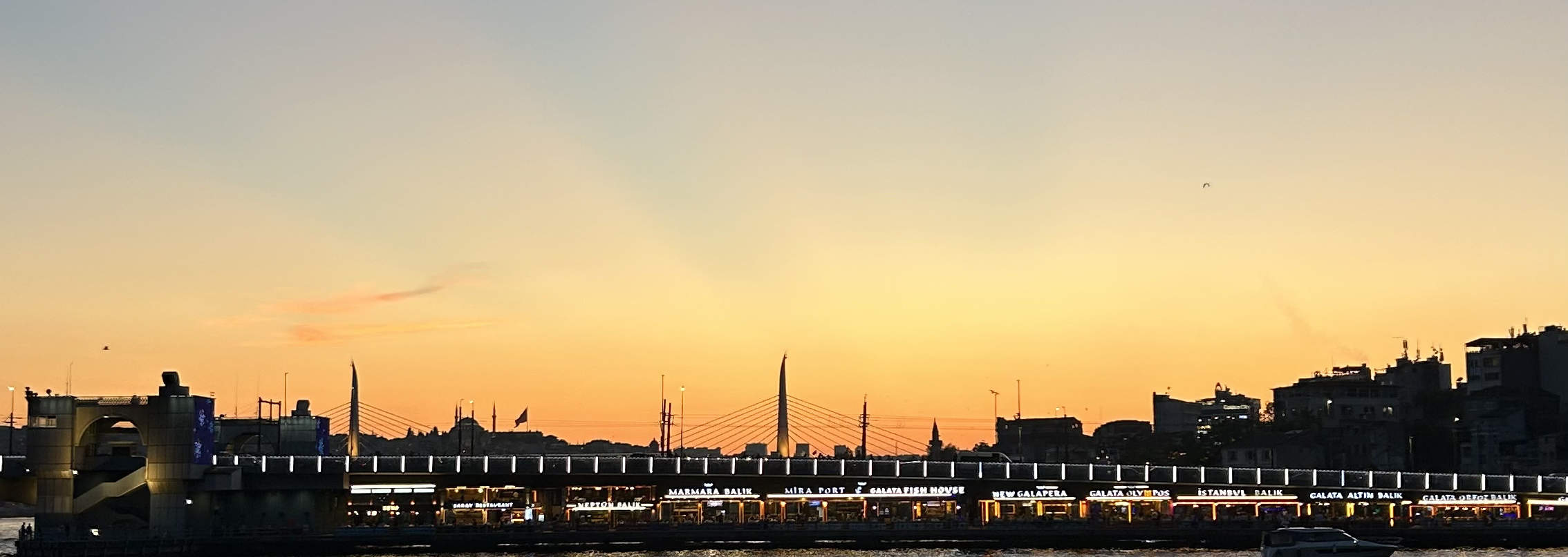 イスタンブール絶景サンセットクルーズ：アジア側探検付き3時間