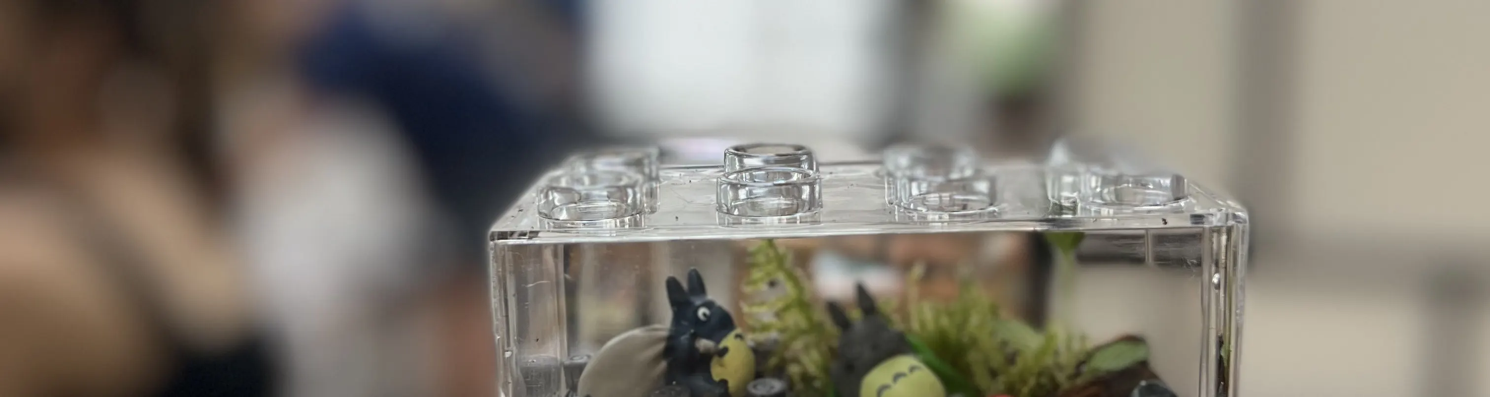 手作班房 - 微景观植物生态工作坊 Mini Terrarium Workshop｜铜锣湾