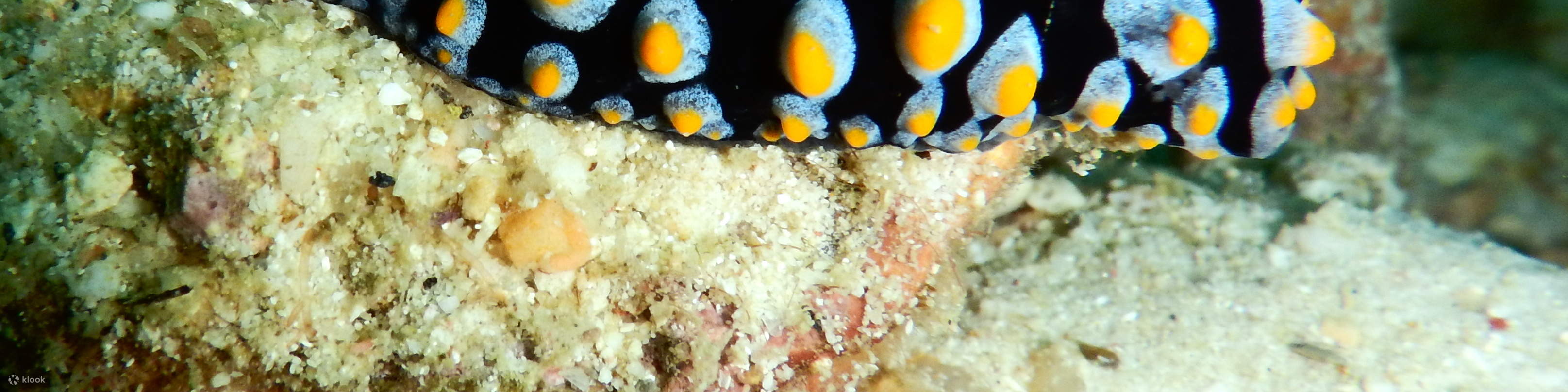 PADI Buceador con Aire Enriquecido (Nitrox)