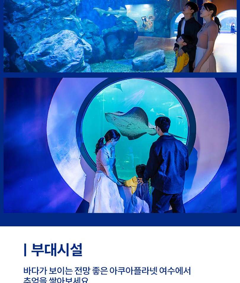 아쿠아플라넷 여수 입장권