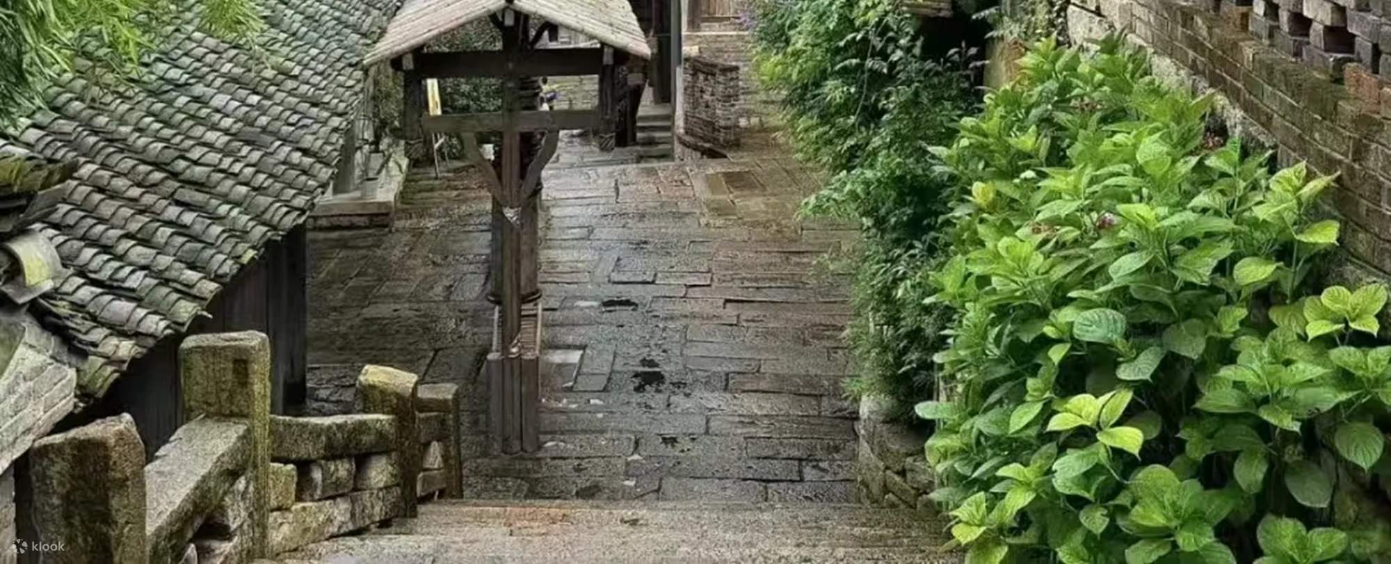 Wulong, Chongqing Private 2-Day Tour (Three Natural Bridges + Longshui  Gorge Fissure + Fairy Mountain National Forest Park + Furong Cave/816  Underground Project/Baima Mountain Tianchi Romance/Tiankeng Village + Round  Trip from Chongqing) -