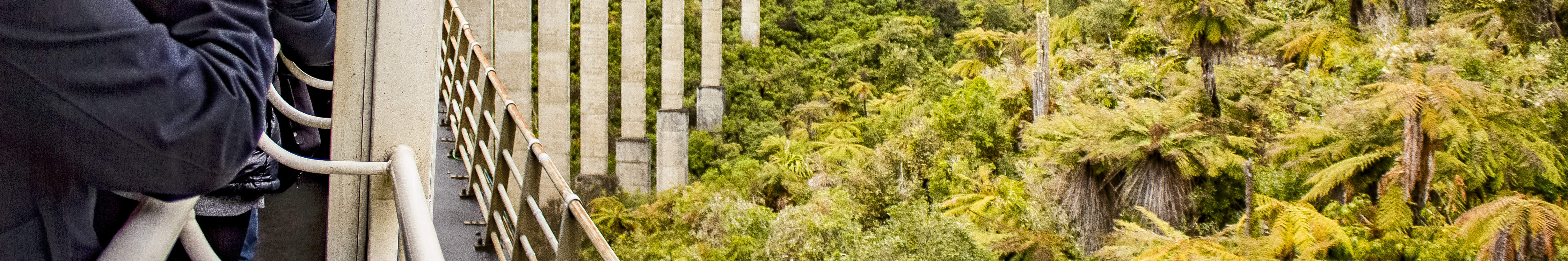 Goditi viste spettacolari dal tuo finestrino mentre percorri la tratta ferroviaria da Auckland a Wellington.