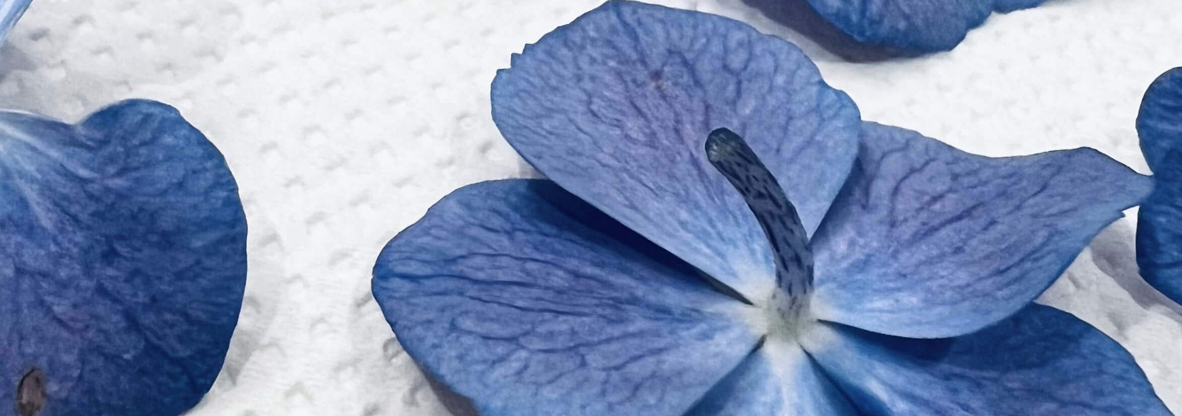 Japanese Press Floral Design Hana En