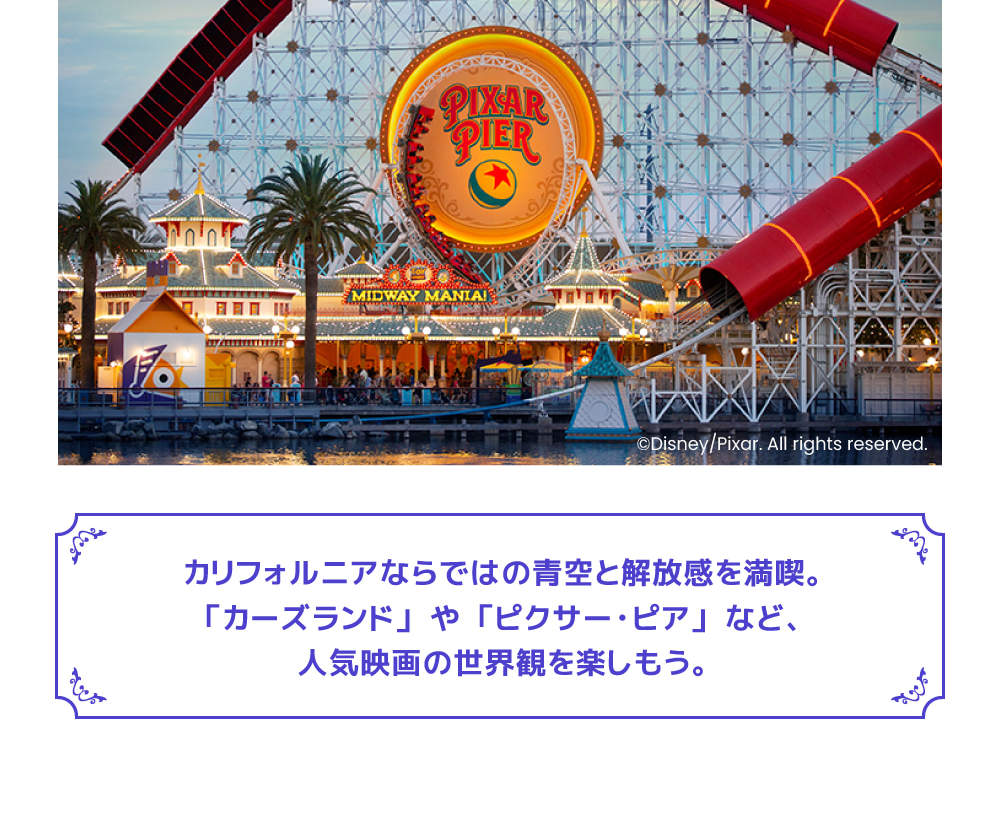 カリフォルニアディズニーランドリゾート チケット（ロサンゼルス 