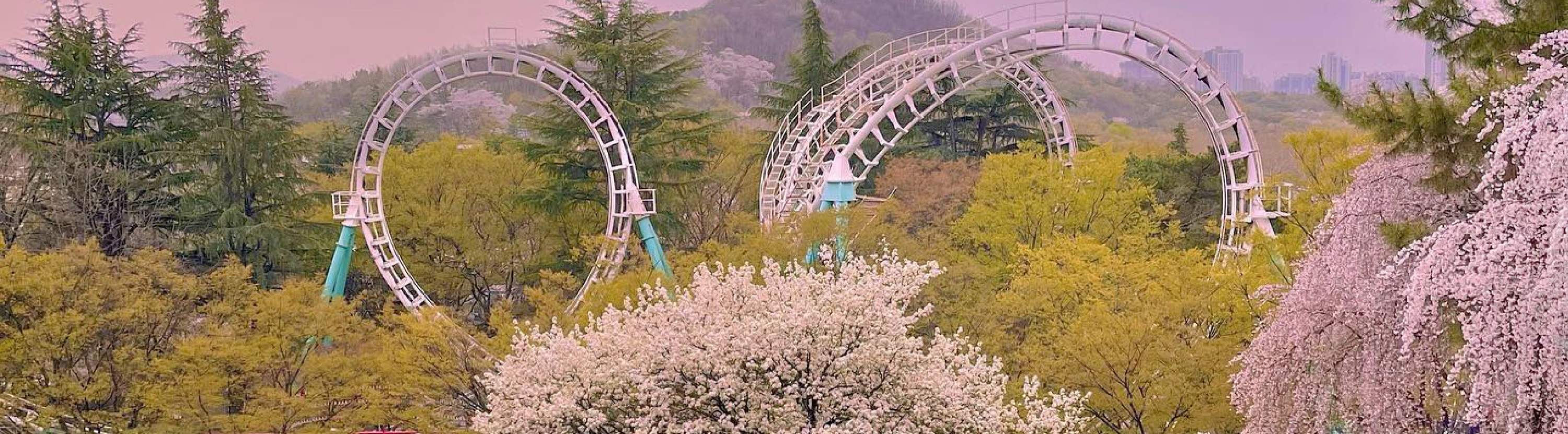 Mt. Seorak & The Tallest Ginko Tree at Yongmunsa - Klook Россия