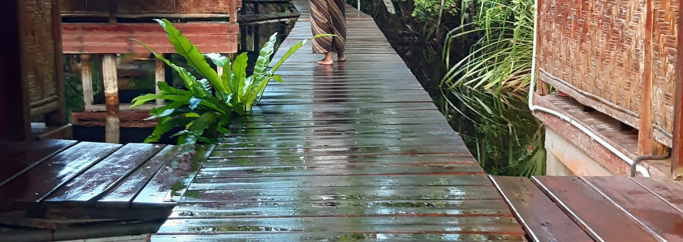 Jalan Setapak Spa Setelah Hujan Sore yang Menyegarkan