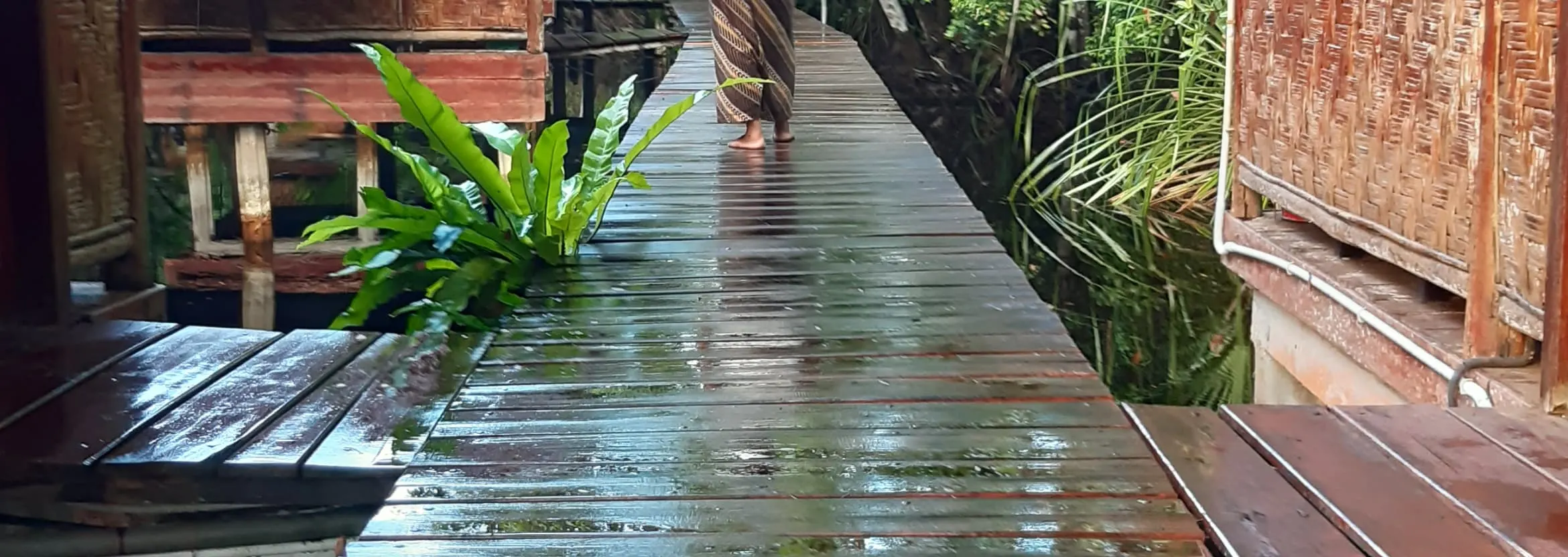 雨后清爽的Spa步道