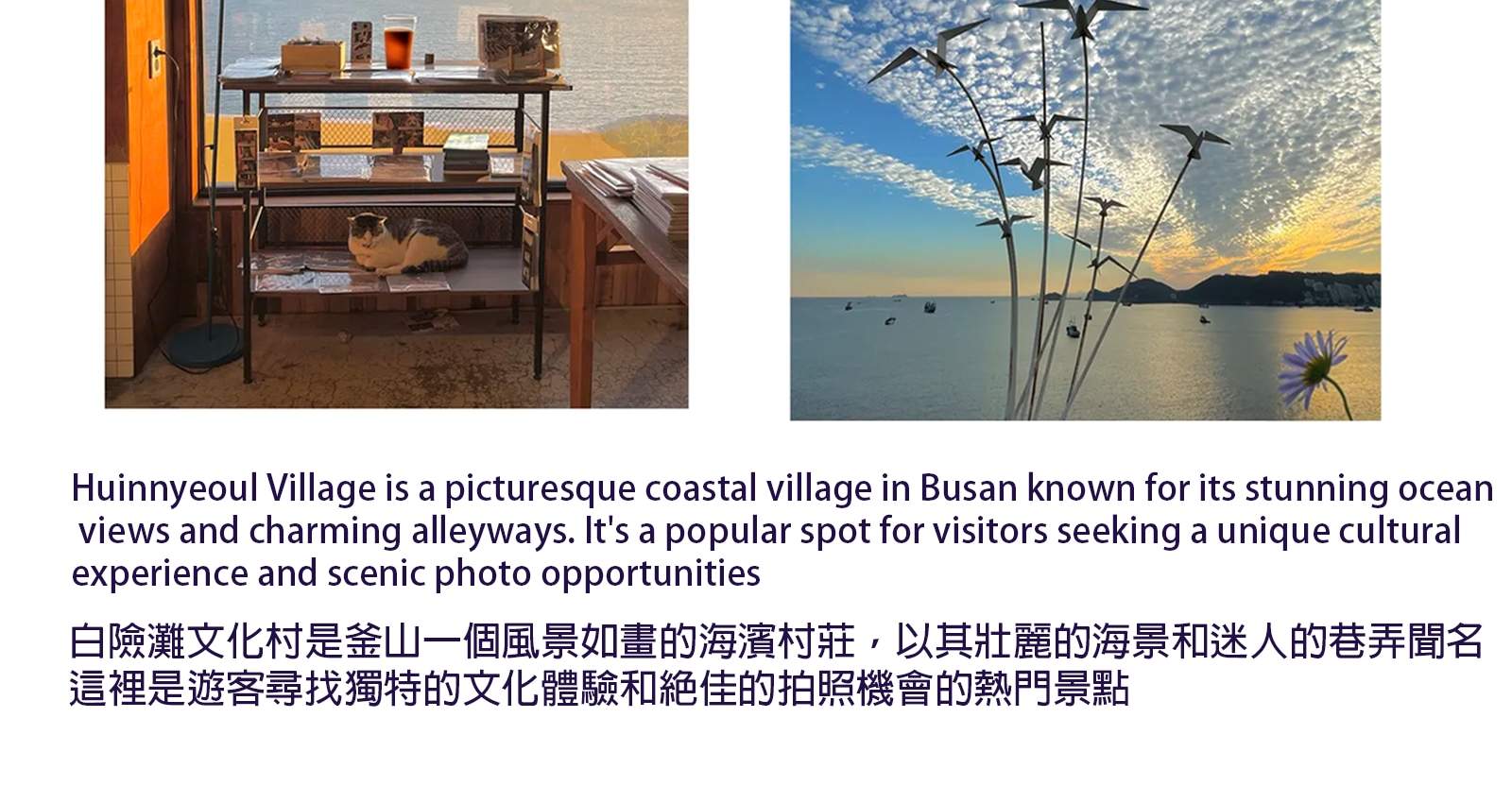 Small Group Busan Tour with Certified Guide - Klook Singapore