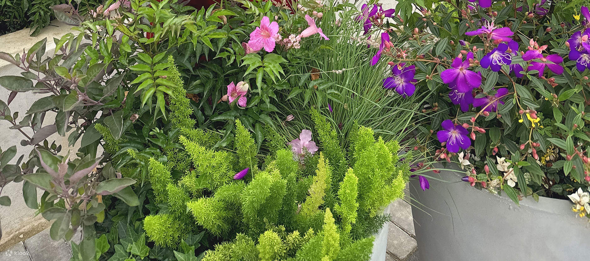 Experiencia Just Be Hanfu @ Hong Kong Ma Wan 1868