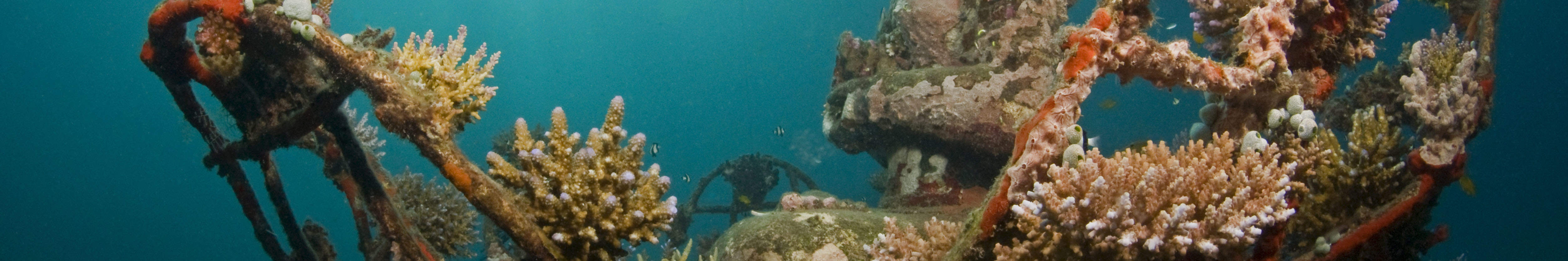 PADI Advanced Open Water Diver