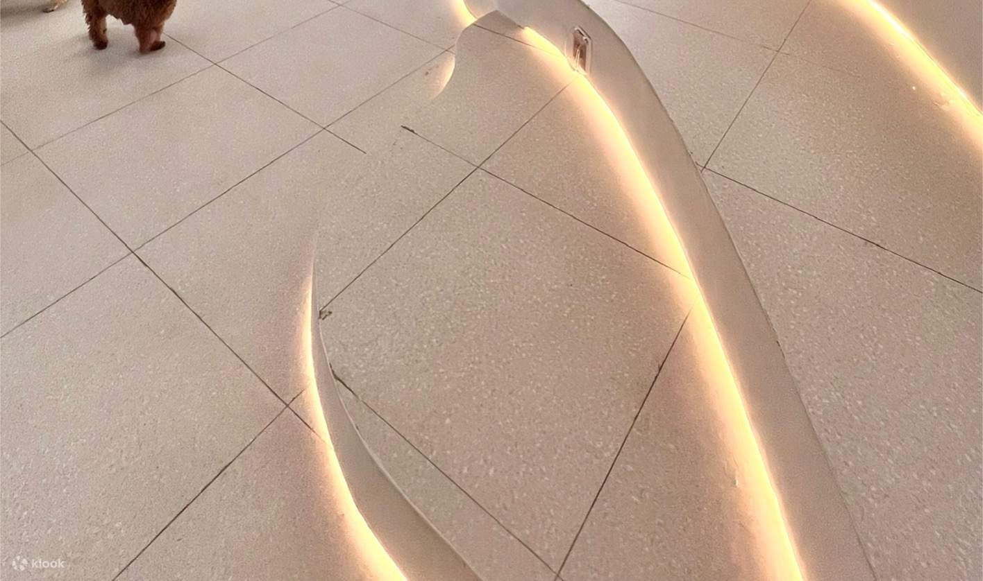 area relax per animali domestici