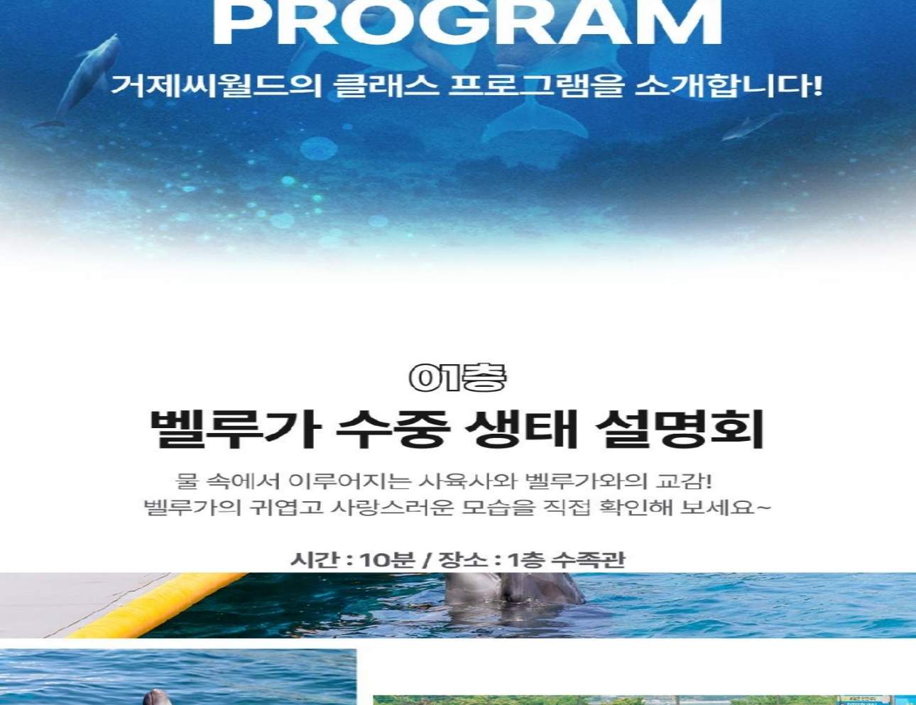 경남 거제 씨월드 입장권