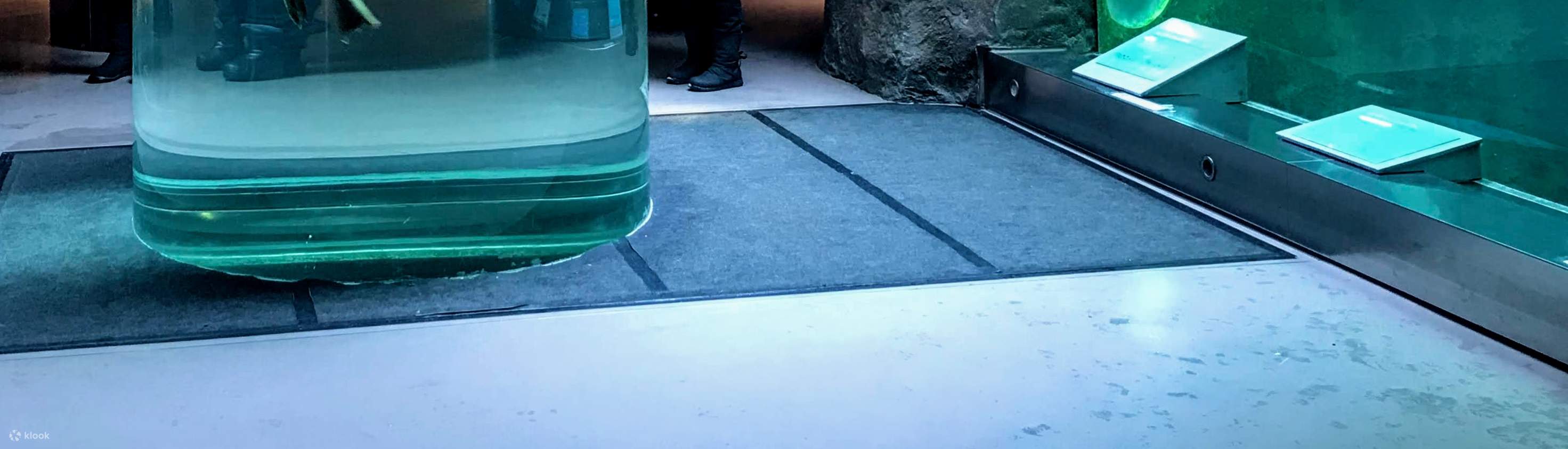 早鳥優惠  春夏季方案