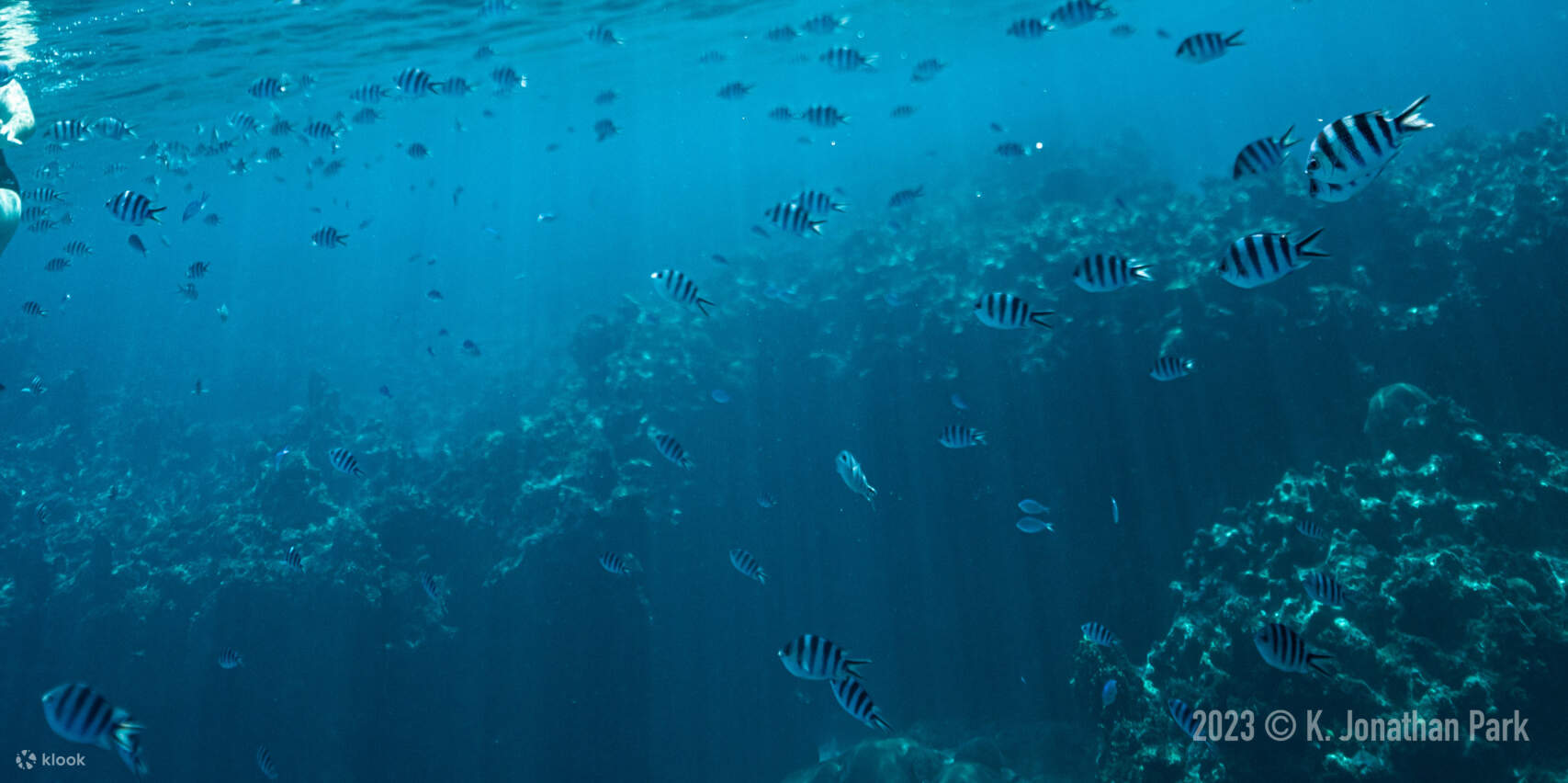 誇塔島海洋保護體驗一日遊