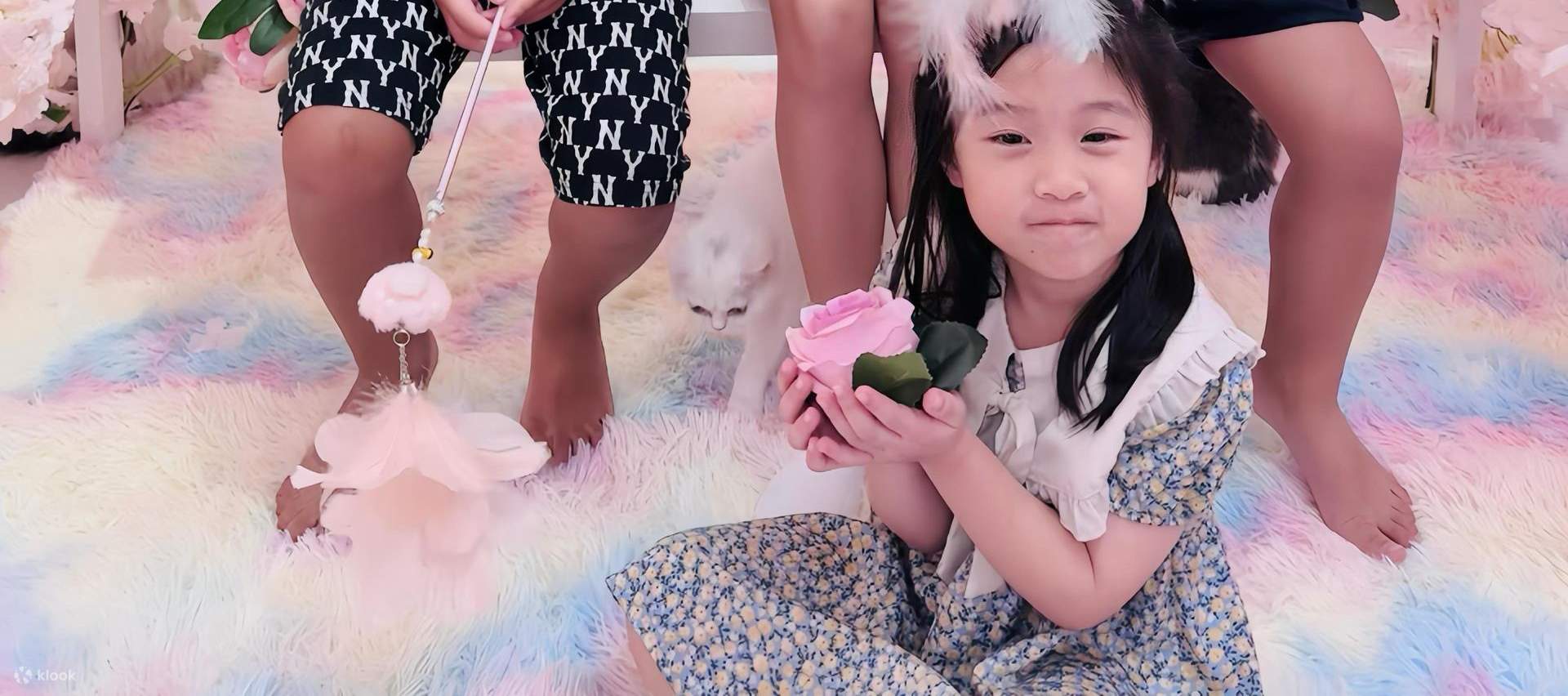 Chào mừng đến với Kitty Wonderland - nơi những bàn chân nhỏ bé và những giấc mơ lớn vui đùa!