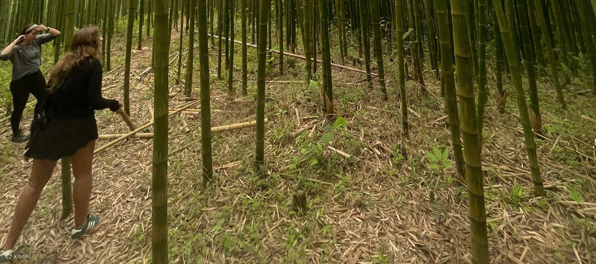 4D4N Ha Giang and Cao Bang Tour with Loop Tours - Klook Australia