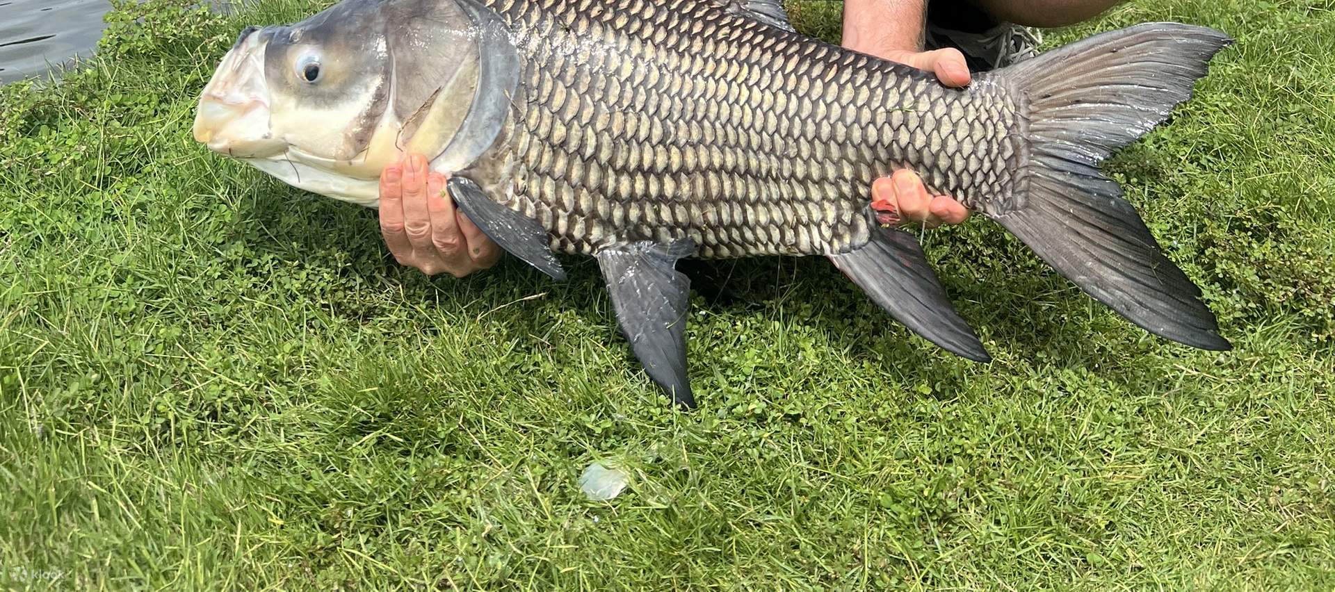 Giant Monster Fishing Private Day Tour dari Ho Chi Minh