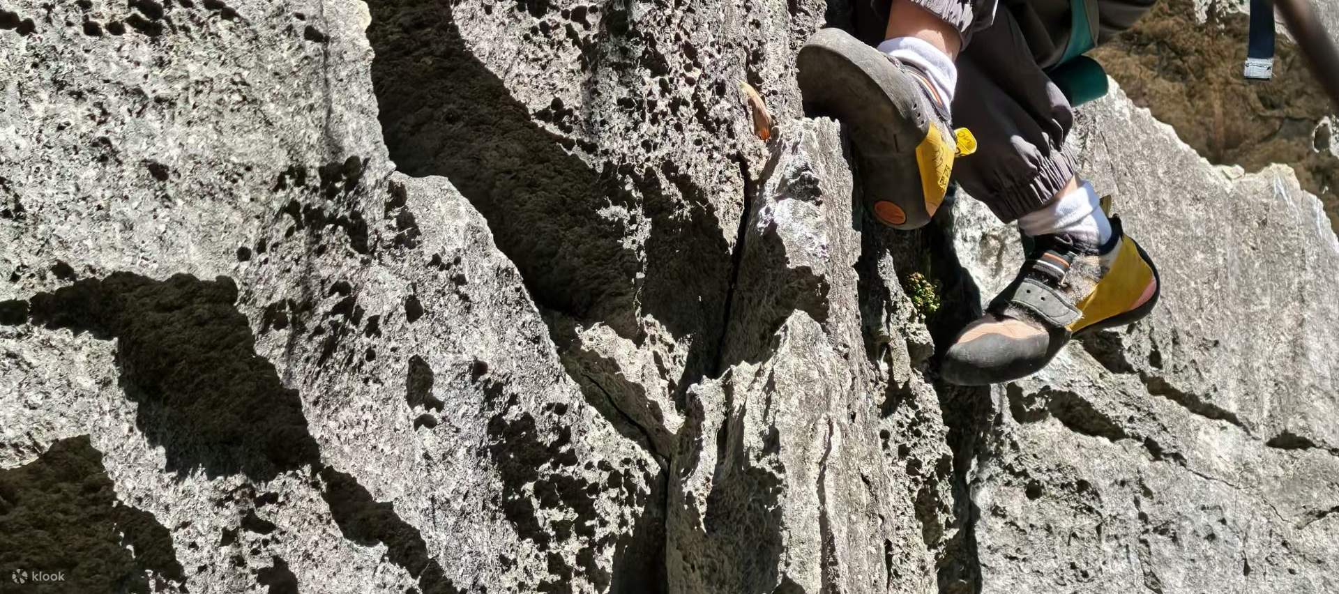 Trẻ em có thể chọn 