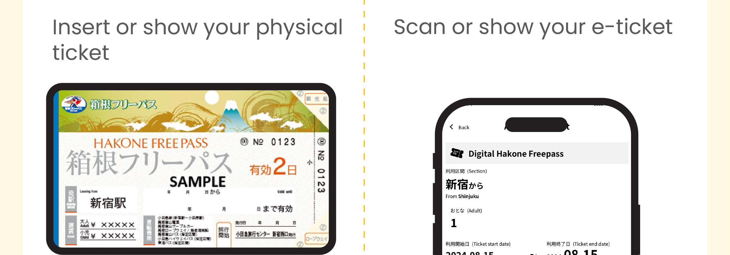 Hakone Freepass - billete digital vs. físico