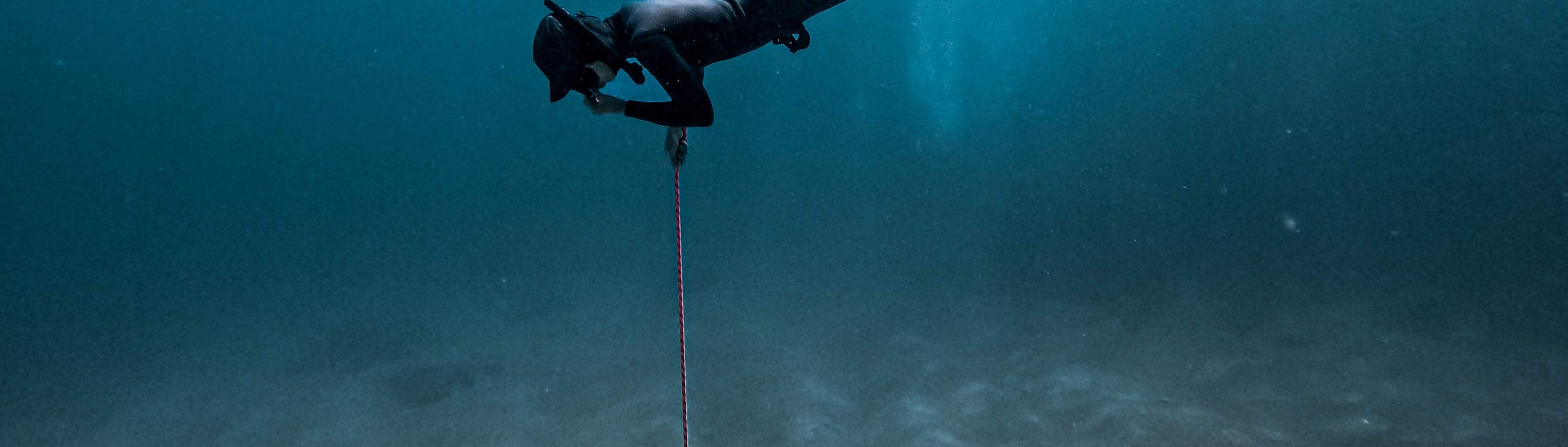 臺東: 綠島自由潛水體驗 (免證照&附海底攝影)