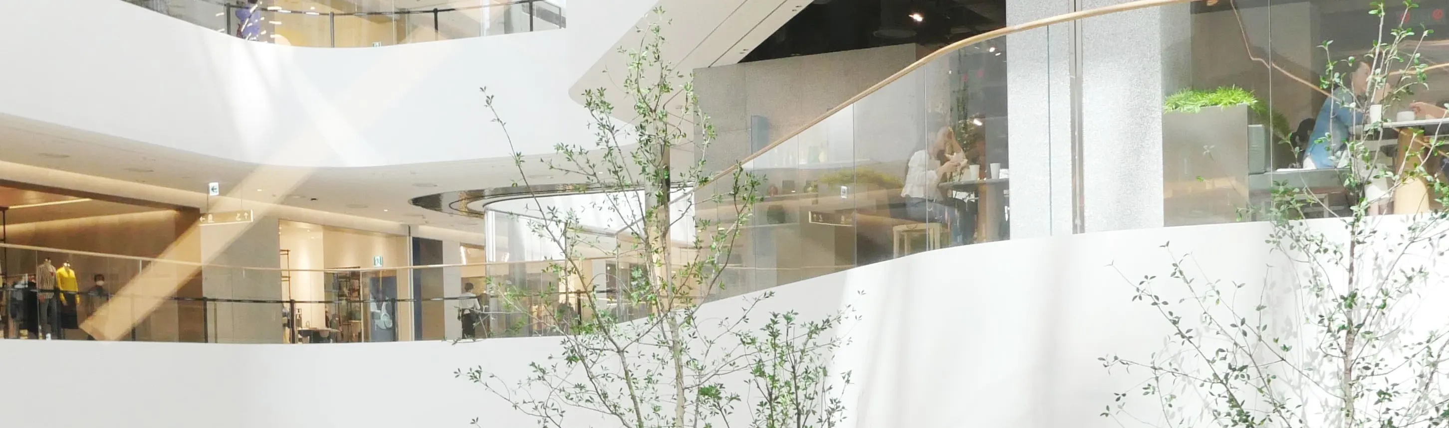 现代百货专享优惠优惠券（狎鸥亭总店、贸易中心店、首尔现代百货）