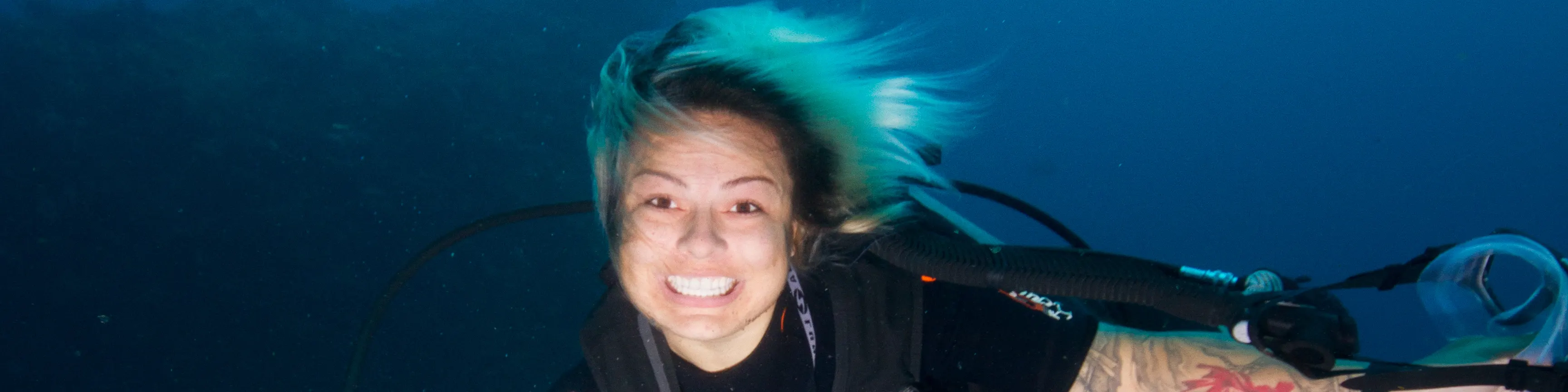 PADI 开放水域潜水员