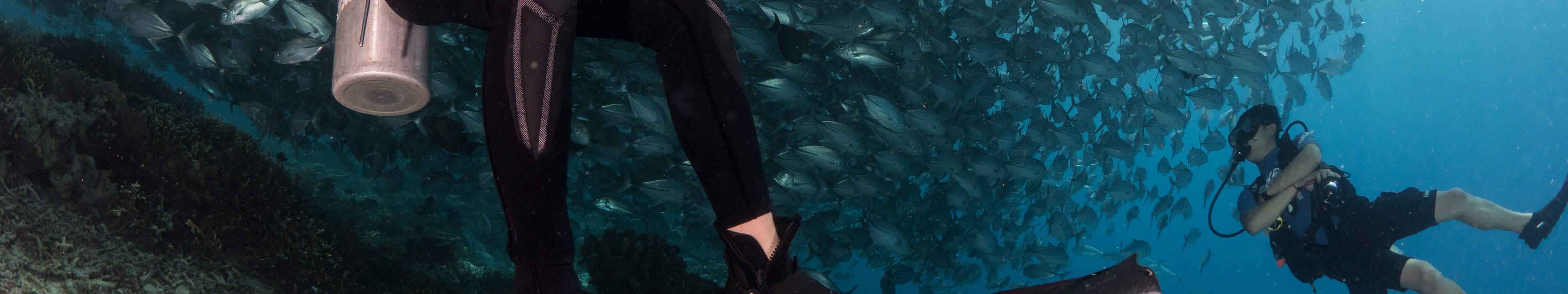 시파단 펀 다이빙 당일 여행