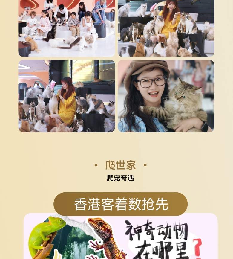 深圳K11 ECOAST 宠物治愈套