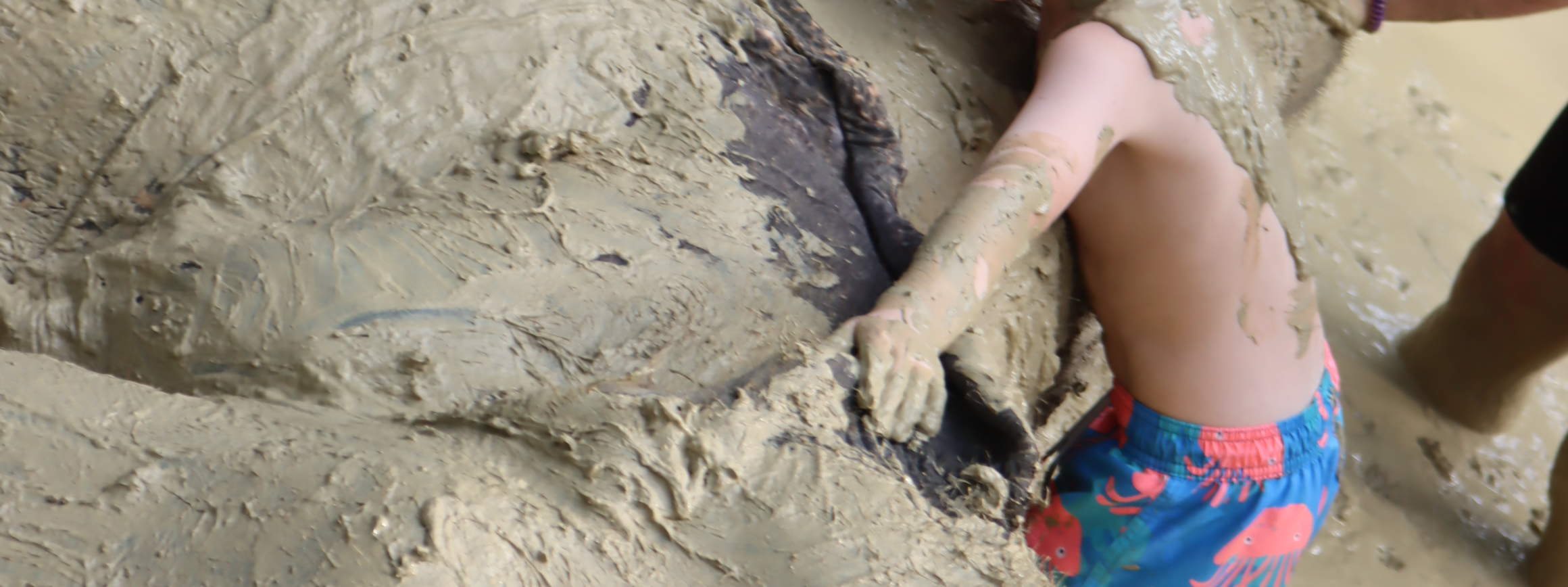 ประสบการณ์ปางช้างกระบี่