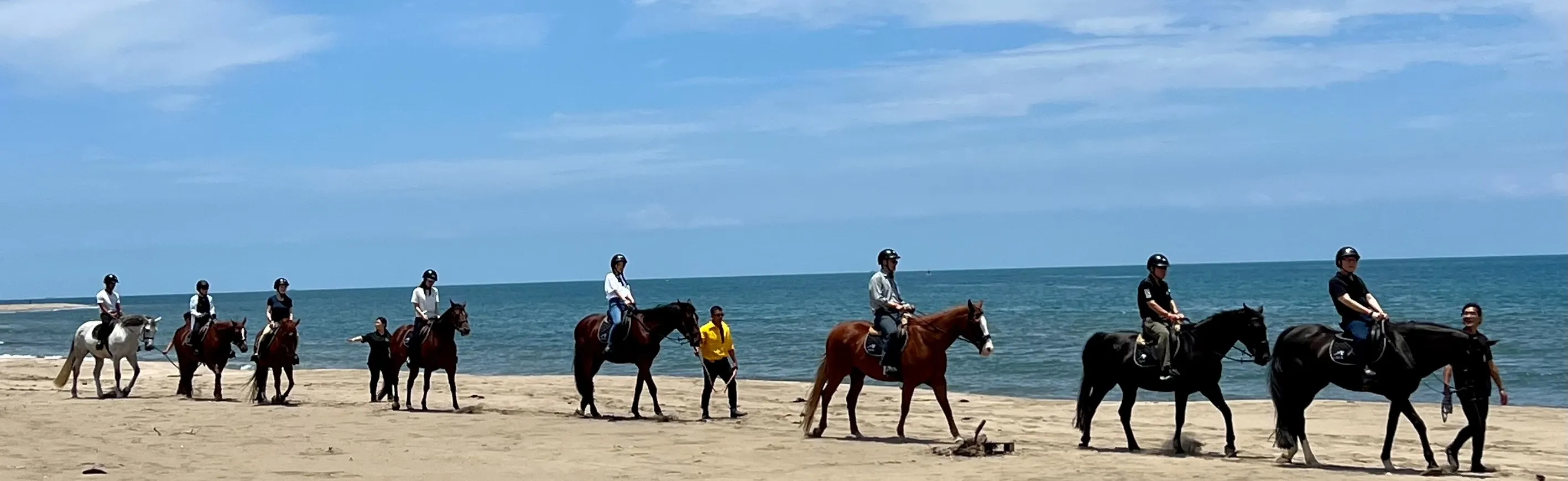 淡水马术入门初体验