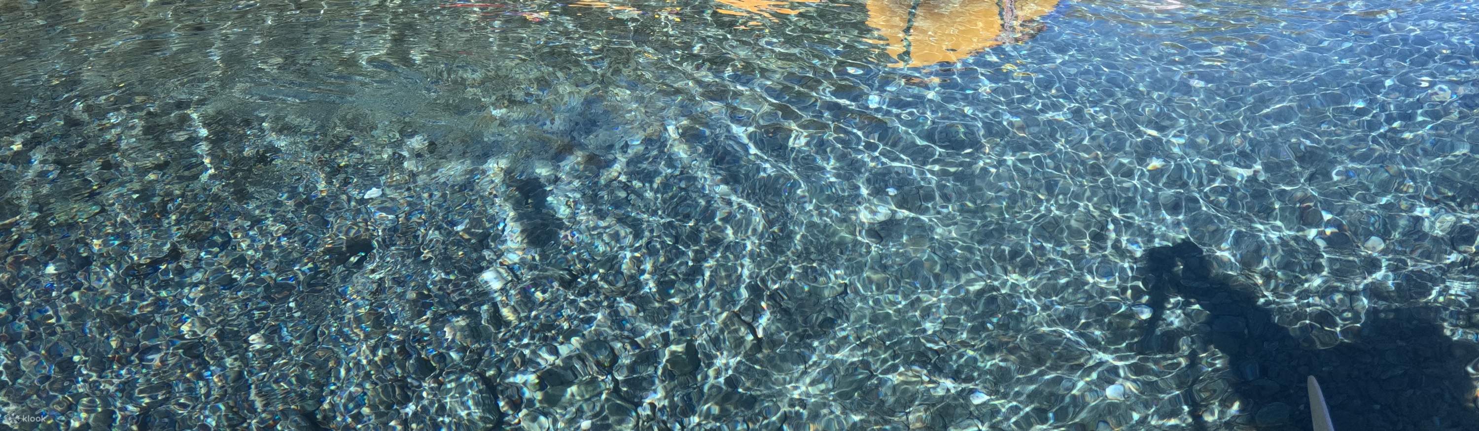 Cuộc phiêu lưu của Wanaka Packraft