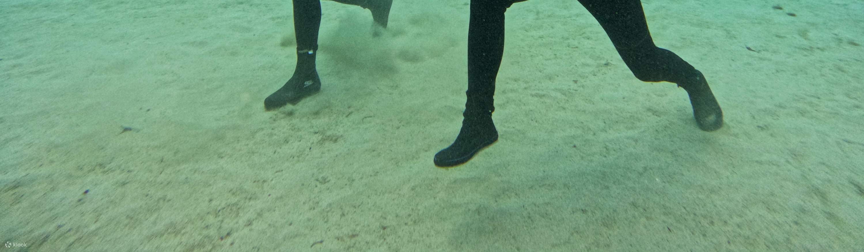 Taitung : Forfait de plongée au centre de plongée de l'île Verte et de l'île Huoshao