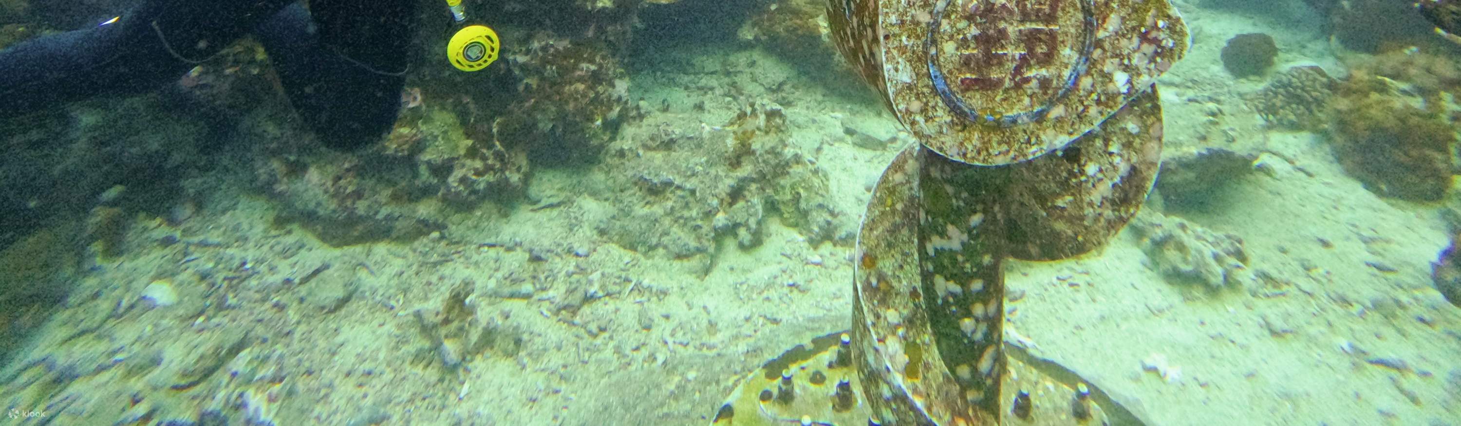 綠島: 火燒島 - 潛水 (PADI OW / AOW / 救援Rescue / 自由潛水考照 / 體驗潛水 / 旅遊潛水