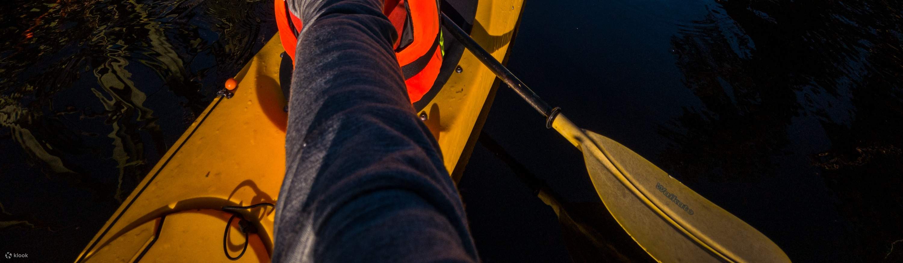 Исследуйте тропический лес и заповедник киви.