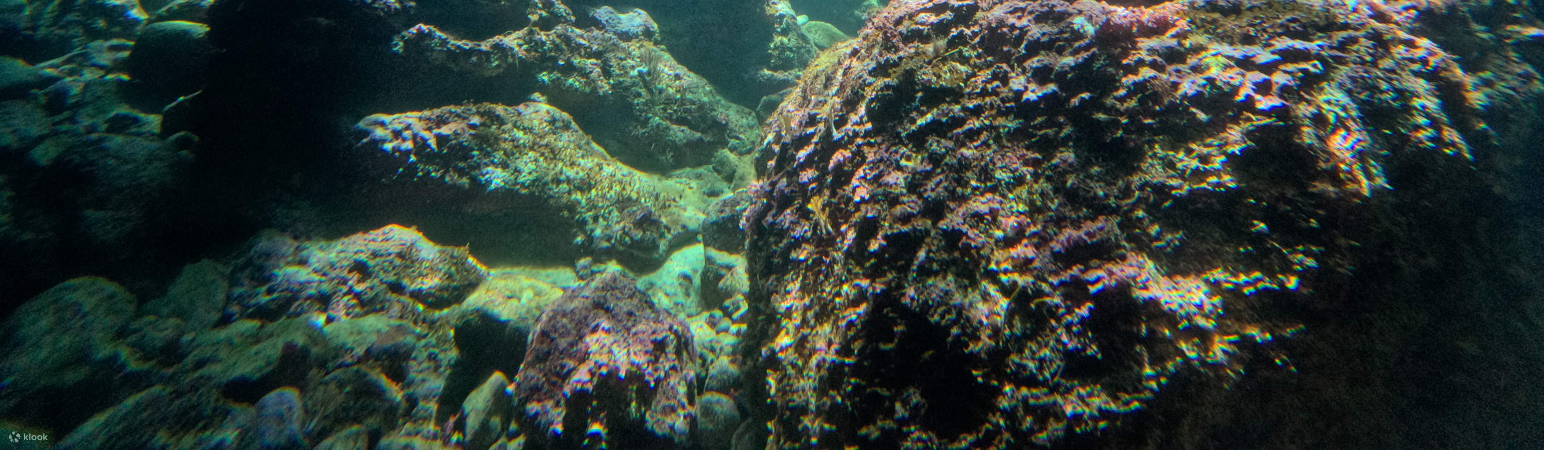 Panduan Penerokaan Mendalam Pulau Green｜Pengalaman Snorkeling di Tapak Menyelam Bertaraf Dunia x Terjun Gaung Tersembunyi yang Menakjubkan x Lawatan Malam ke Rusa Sambar dan Penerangan Tempat Bersejarah