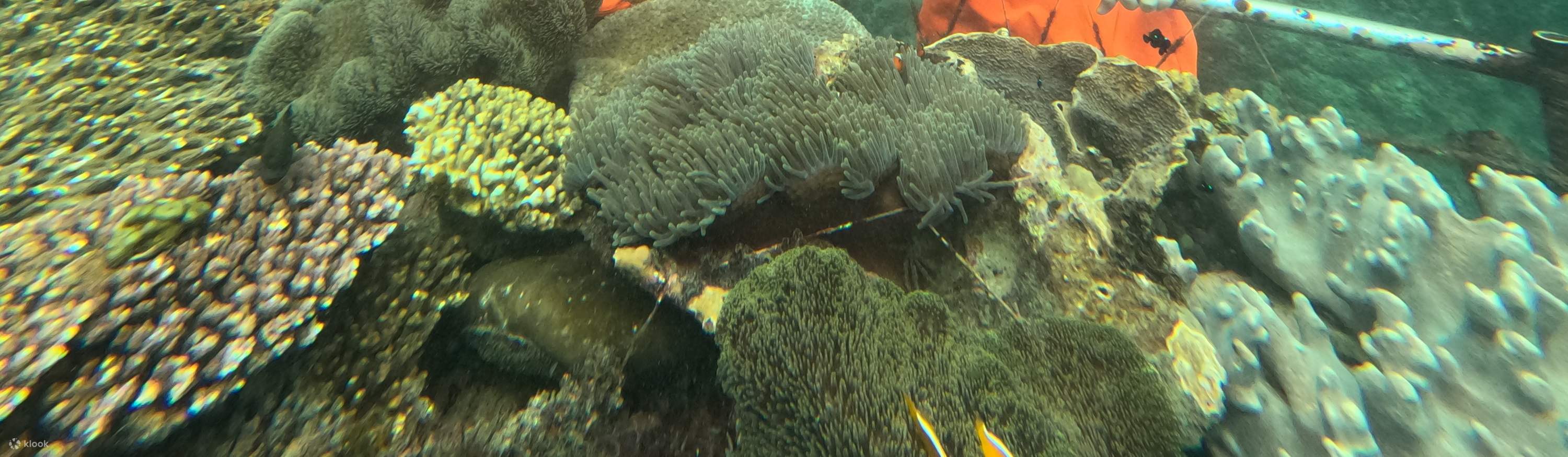 在峇里岛体验海底漫步，享受刺激的水中探险