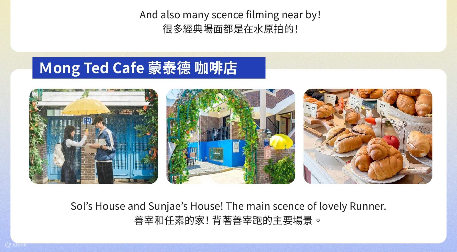 私人定製韓劇之旅：首爾包車及司機服務（南怡島 / 羊駝樂園 / 束草 / 江陵）