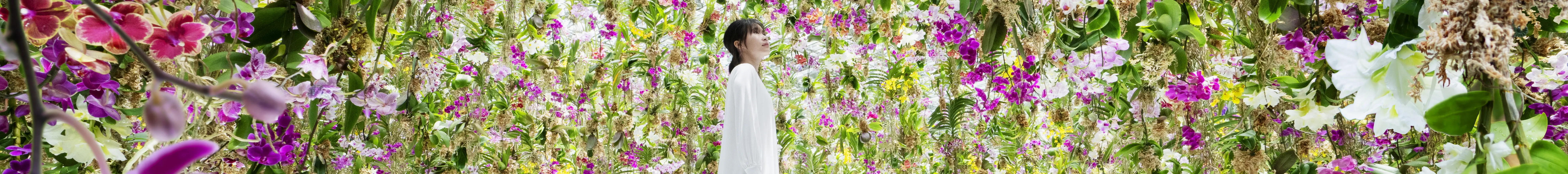 漂浮的花园 ── 花朵与我同根同源，花园与我合为一体