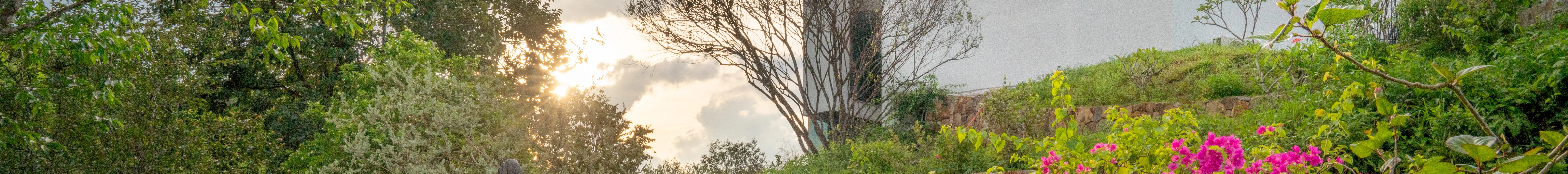 Lê Bá Đảng Memory Space