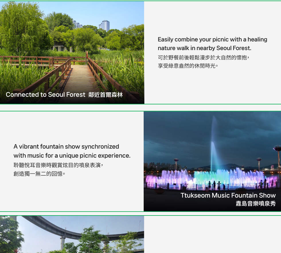 Seoul Han River Picnic Rentals (Ttukseom near Seongsu)